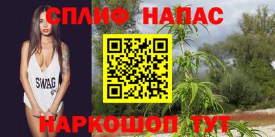 гашик Бузулук