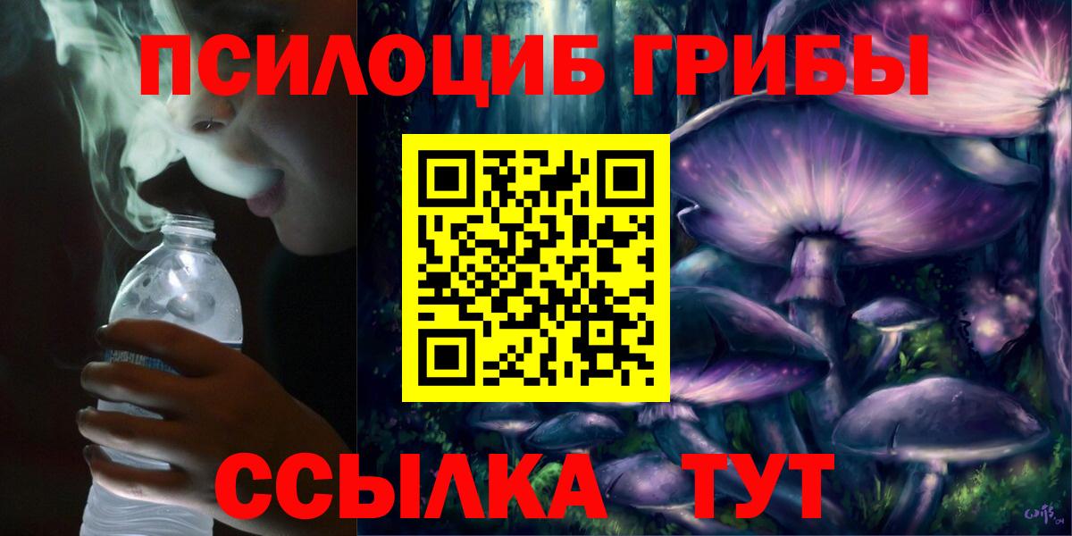 Усолье-Сибирское  Псилоцибиновые грибы Psilocybine cubensis  Псилоцибиновые грибы Psilocybine cubensis  Вход с VPN 